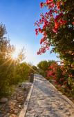Туры в отель Jebel Shams Resort Туры в отель Jebel Shams Resort