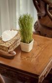 Туры в отель Farmer`s Boutique Туры в отель Farmer`s Boutique