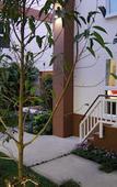 Туры в отель U-Tiny Boutique Home Suvarnabhumi Bangkok Туры в отель U-Tiny Boutique Home Suvarnabhumi Bangkok