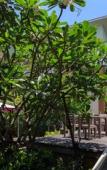 Туры в отель U-Tiny Boutique Home Suvarnabhumi Bangkok Туры в отель U-Tiny Boutique Home Suvarnabhumi Bangkok