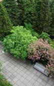 Туры в отель Ялтинский городской пансионат Туры в отель Ялтинский городской пансионат