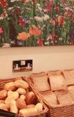 Туры в отель The Grapevine Hotel Туры в отель The Grapevine Hotel
