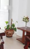 Туры в отель Blue Elephant - Tourist Guest House Туры в отель Blue Elephant - Tourist Guest House