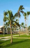 Туры в отель Excellence El Carmen Туры в отель Excellence El Carmen