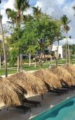 Туры в отель Excellence El Carmen Туры в отель Excellence El Carmen