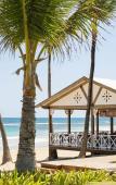 Туры в отель Excellence El Carmen Туры в отель Excellence El Carmen