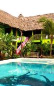 Туры в отель Simba Garden Lodge Туры в отель Simba Garden Lodge