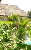 Туры в отель Simba Garden Lodge Туры в отель Simba Garden Lodge