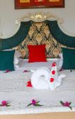 Туры в отель African Sun Sand Sea Resort & Spa Туры в отель African Sun Sand Sea Resort & Spa