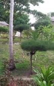 Туры в отель African Sun Sand Sea Resort & Spa Туры в отель African Sun Sand Sea Resort & Spa