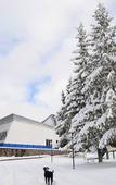 Туры в отель Bakuriani Resorts Туры в отель Bakuriani Resorts