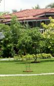 Туры в отель Bougainvilla Hotel Туры в отель Bougainvilla Hotel