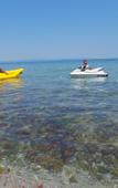 Туры в отель Melia Mar Туры в отель Melia Mar