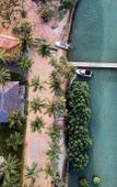 Туры в отель The Rascals Kite Resort Туры в отель The Rascals Kite Resort