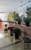 Туры в отель BMB Suites Туры в отель BMB Suites