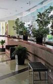 Туры в отель BMB Suites Туры в отель BMB Suites