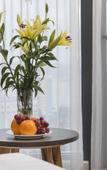 Туры в отель B&N Hotel Nha Trang (17/15 Nguyen) Туры в отель B&N Hotel Nha Trang (17/15 Nguyen)