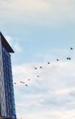 Туры в отель Wish More Hotel Istanbul Туры в отель Wish More Hotel Istanbul