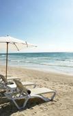 Туры в отель Unico 20 87 Hotel Riviera Maya Туры в отель Unico 20 87 Hotel Riviera Maya