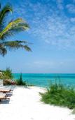 Туры в отель Zawadi Hotel Туры в отель Zawadi Hotel