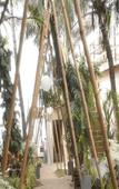 Туры в отель Ukiyo Beach Resort Туры в отель Ukiyo Beach Resort