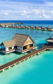 Туры в отель Mercure Maldives Kooddoo Resort Туры в отель Mercure Maldives Kooddoo Resort