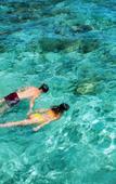 Туры в отель Mercure Maldives Kooddoo Resort Туры в отель Mercure Maldives Kooddoo Resort