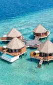 Туры в отель Mercure Maldives Kooddoo Resort Туры в отель Mercure Maldives Kooddoo Resort