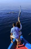 Туры в отель Mercure Maldives Kooddoo Resort Туры в отель Mercure Maldives Kooddoo Resort