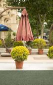 Туры в отель Vego Hotel Туры в отель Vego Hotel