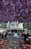 Туры в отель Azak Hotel Туры в отель Azak Hotel