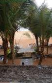 Туры в отель Elite Beach Hikkaduwa Туры в отель Elite Beach Hikkaduwa