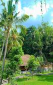 Туры в отель The Artini Dijiwa Ubud Туры в отель The Artini Dijiwa Ubud