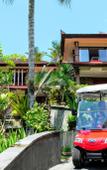Туры в отель The Artini Dijiwa Ubud Туры в отель The Artini Dijiwa Ubud