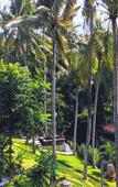Туры в отель The Artini Dijiwa Ubud Туры в отель The Artini Dijiwa Ubud