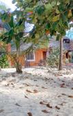 Туры в отель Twisted Palms Lodge & Restaurant Туры в отель Twisted Palms Lodge & Restaurant
