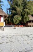 Туры в отель Twisted Palms Lodge & Restaurant Туры в отель Twisted Palms Lodge & Restaurant