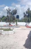 Туры в отель Twisted Palms Lodge & Restaurant Туры в отель Twisted Palms Lodge & Restaurant