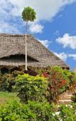 Туры в отель Sazani Beach Lodge Nungwi Туры в отель Sazani Beach Lodge Nungwi