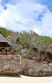 Туры в отель Sazani Beach Lodge Nungwi Туры в отель Sazani Beach Lodge Nungwi