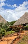 Туры в отель Sazani Beach Lodge Nungwi Туры в отель Sazani Beach Lodge Nungwi