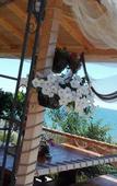 Туры в отель Fantasy Beach Туры в отель Fantasy Beach