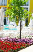 Туры в отель MoreLeto Ultra All Inclusive Hotel Туры в отель MoreLeto Ultra All Inclusive Hotel