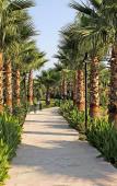 Туры в отель Royal Atlantis Beach Hotel Туры в отель Royal Atlantis Beach Hotel