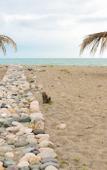 Туры в отель Aqua Resort Туры в отель Aqua Resort
