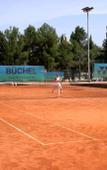 Туры в отель Hotel Albatros Plava Laguna Туры в отель Hotel Albatros Plava Laguna