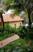 Туры в отель Free Beach Resort Туры в отель Free Beach Resort