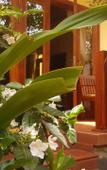 Туры в отель Free Beach Resort Туры в отель Free Beach Resort