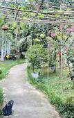 Туры в отель Highland Bungalow Туры в отель Highland Bungalow