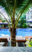 Туры в отель Brenta Phu Quoc Туры в отель Brenta Phu Quoc